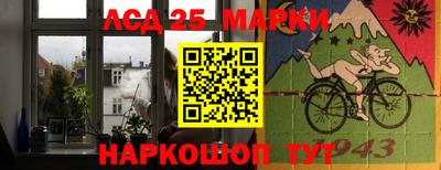 стафф Дубна