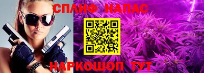 стафф Дубна
