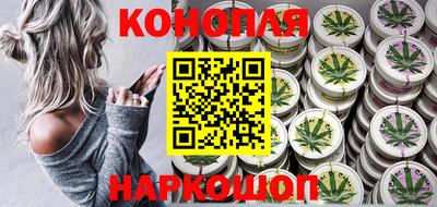 стафф Дубна