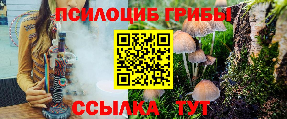 Псилоцибиновые грибы GOLDEN TEACHER  Галлюциногенные грибы ЛСД  Лосино-Петровский  Вход с VPN 