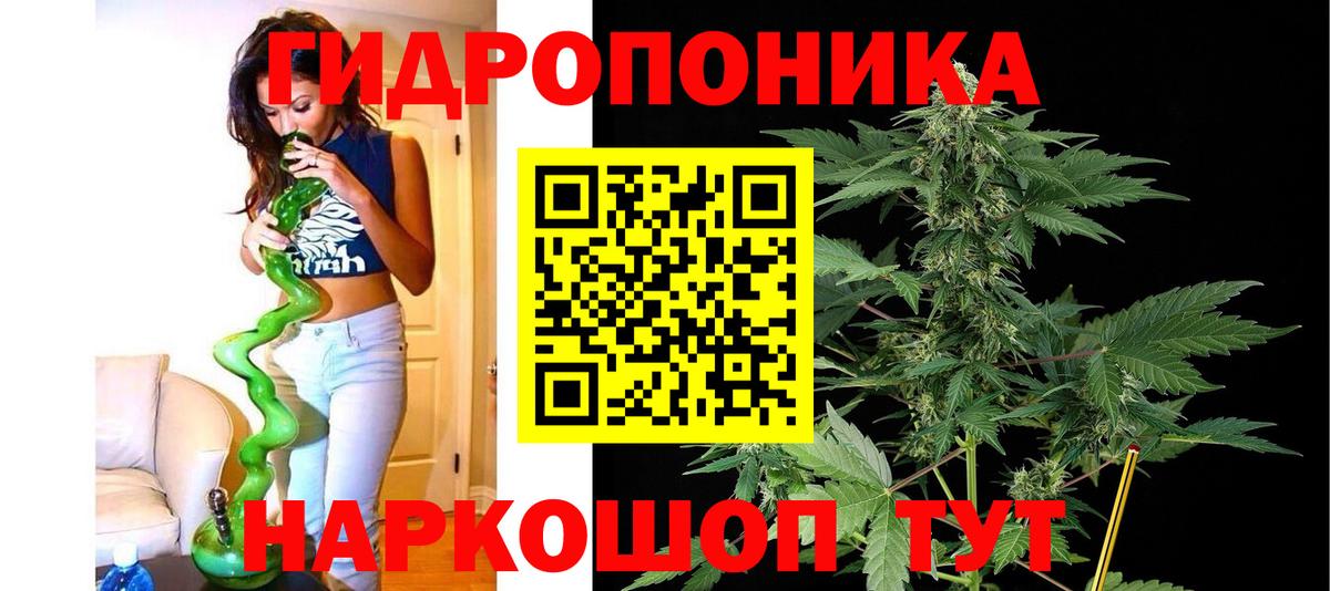Канабис семена  МАРИХУАНА планчик  Каннабис VHQ  Вход с VPN  Лосино-Петровский 